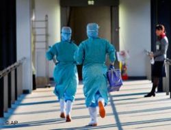 Domuz gribi paniği Türkiye'de!