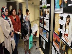 Şiddete karşı danışma merkezi