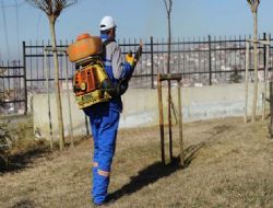 Altındağ'da kış ilaçlaması