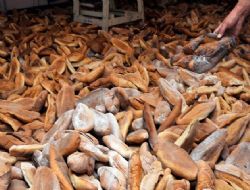 Bayat ekmek cips olacak