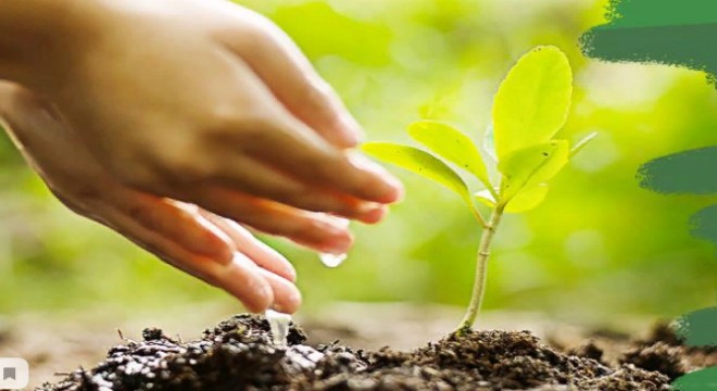 24 Kasım Öğretmenler Günü'nde “Öğretmenim İçin Bir Fidan” kampanyası