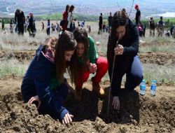 Hedef 300 bin ağaç