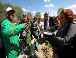 Bahçıvanlar sertifika aldı