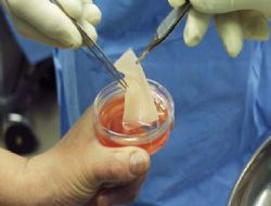 Ortopedi uzmanları Ankara'da buluştu