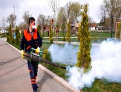 Gölbaşı'nda sinekle mücadele