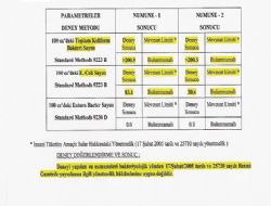 Su kavgası ‘numune'lik