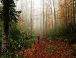 Fotoğrafçının Küre rotası
