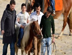 Atla terapi hayata bağlıyor