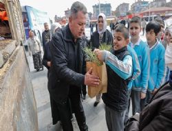 Bir fidan da siz dikin