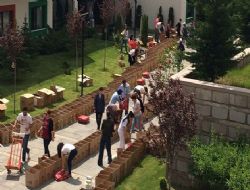 Koli koli LÖSEV yolu