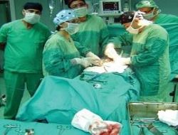 Mesaneden 28 taş çıkardılar