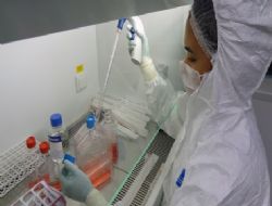 Cyberpark'tan DNA'lı krem