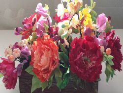 Şampiyon Ankara'dan