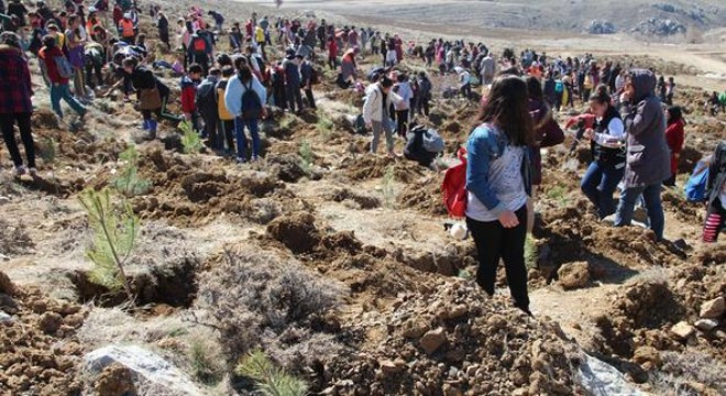 7'den 70'e hatıra ormanı