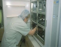 Tıbbi cihazlarda Ankara'nın potansiyeli büyük