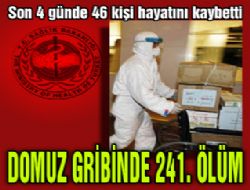 Domuz gribinde ölü sayısı 241'e çıktı