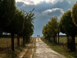 Turizmin markaları Ankara'da buluşacak