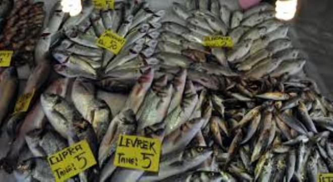 Aralık'ta Taze Balık Zam Şampiyonu