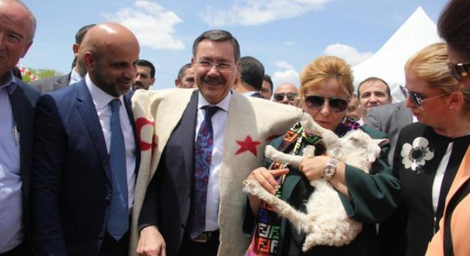 Çoban fuarı başladı