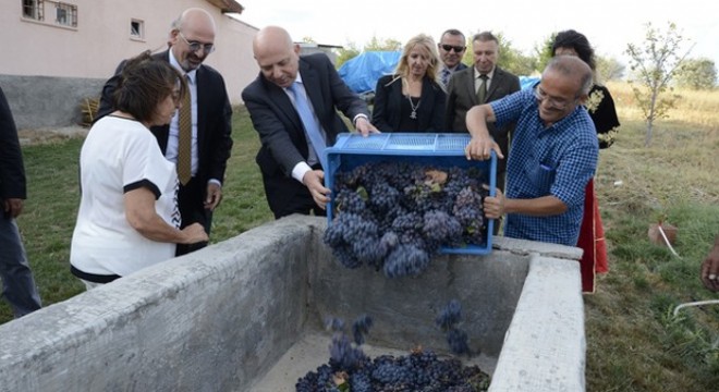 Kalecik'te bağ bozumu şenlikleri