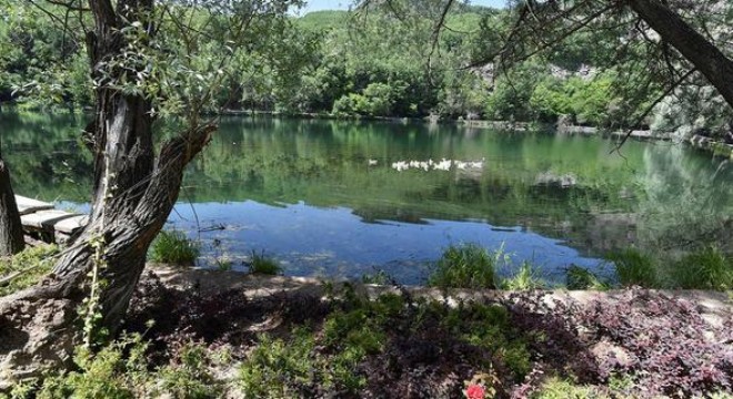 Karagöl'e 290 ağaç dikildi