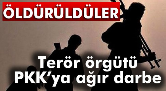 TSK'dan bölücü terör örgütüne ağır darbe !