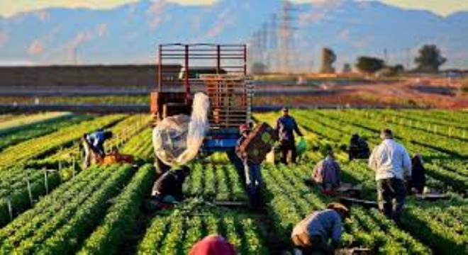 Tarımsal İşçi Ücretlerinde Büyük Artış