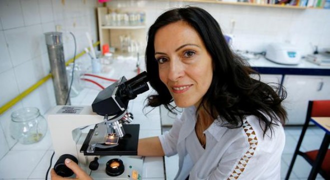 ‘Toplu arı ölümleri' yüzde 41'e ulaştı