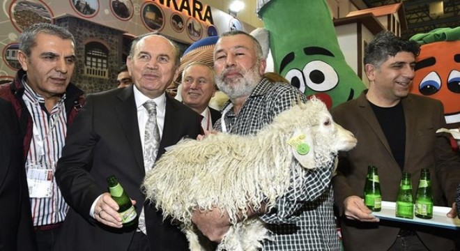 Turizm elçisi Ankara keçisi