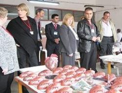 Da Vinci Avrupa turunda